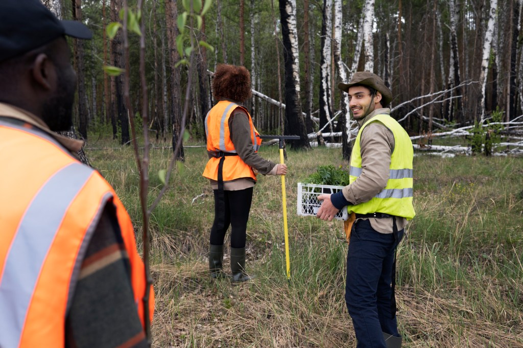 A Complete Overview Of Seismic Refraction Survey